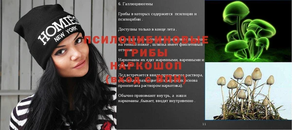 крисы Аркадак