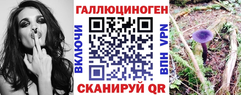 Купить закладки  Отрадное  Галлюциногенные грибы GOLDEN TEACHER 